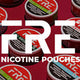 FRE Pouches: The Modern Solution for Controlled Nicotine Enjoyment