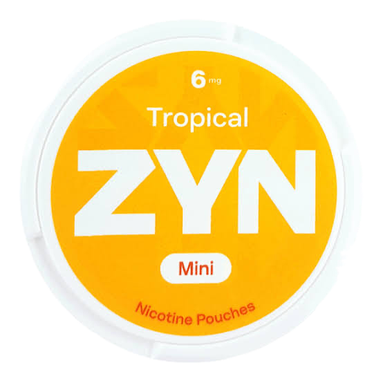 Zyn Tropical Mini Dry 6MG